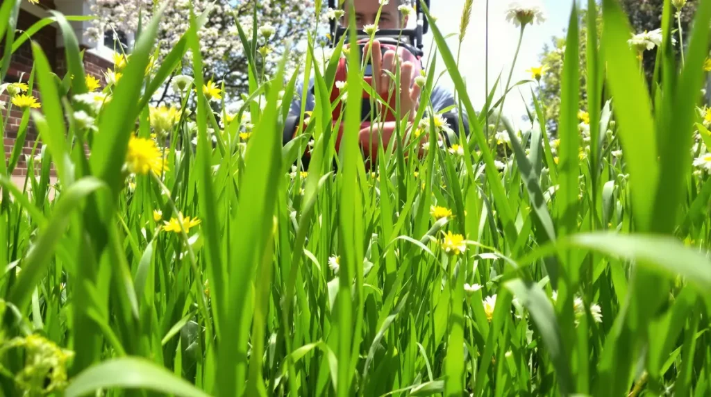 Jardin : ne tondez pas votre pelouse avant ce moment idéal, ces 3 signes doivent d'abord apparaître chez vous